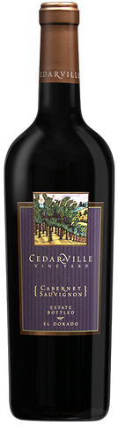 2022 Cabernet Sauvignon - Estate